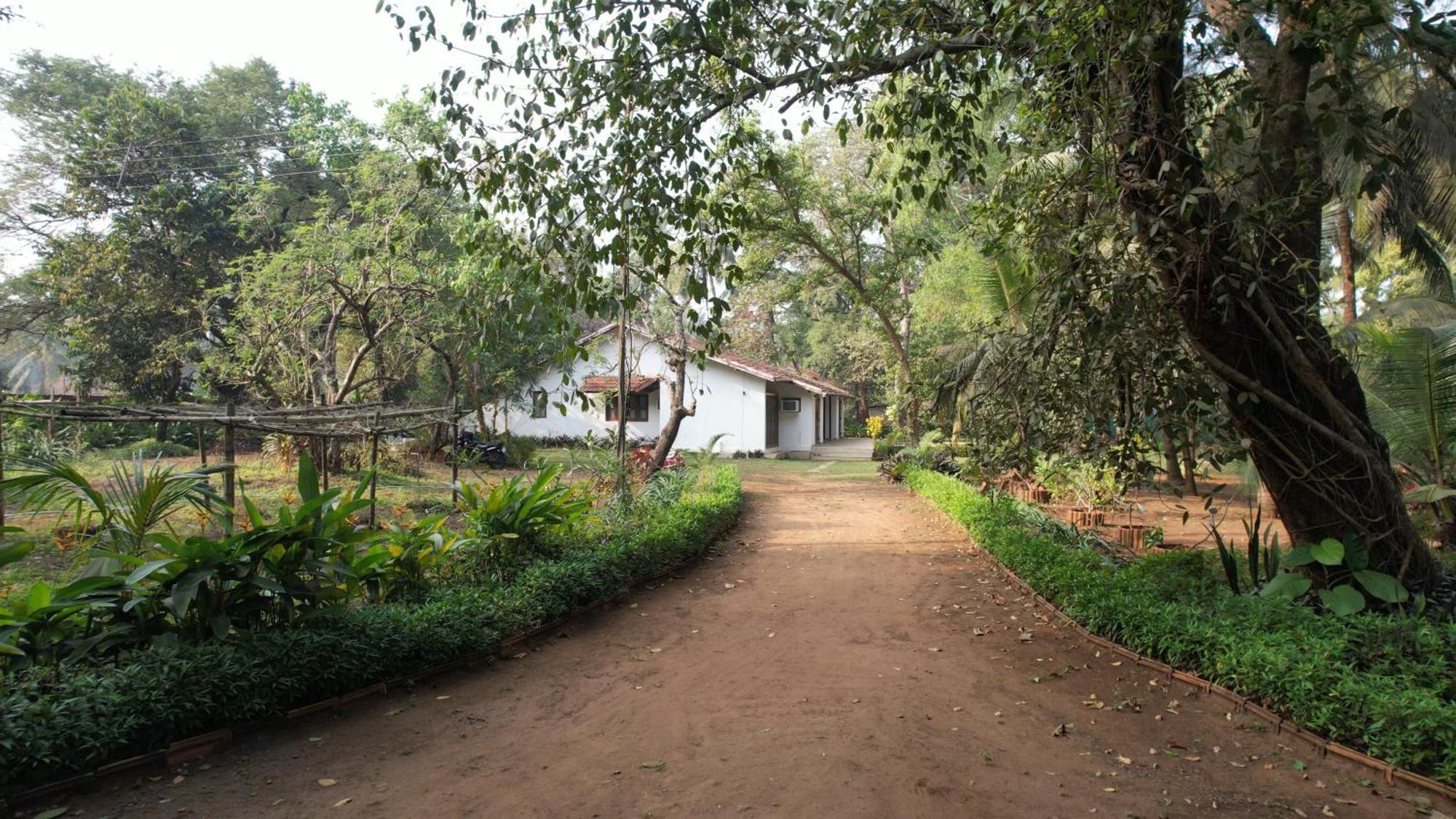 Banyan House - Luxurious 4 Bedroom Villa On One Acre, Near The Beach Nagaon  Bagian luar foto